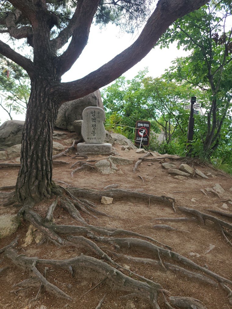 불곡산의 두 가지 맛과 송림 등산화2-4.jpg