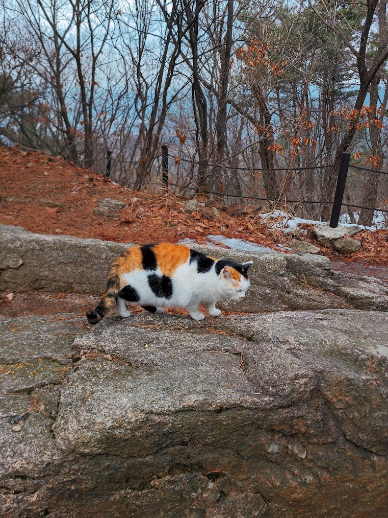 북한산 비봉능선 2-5.jpg