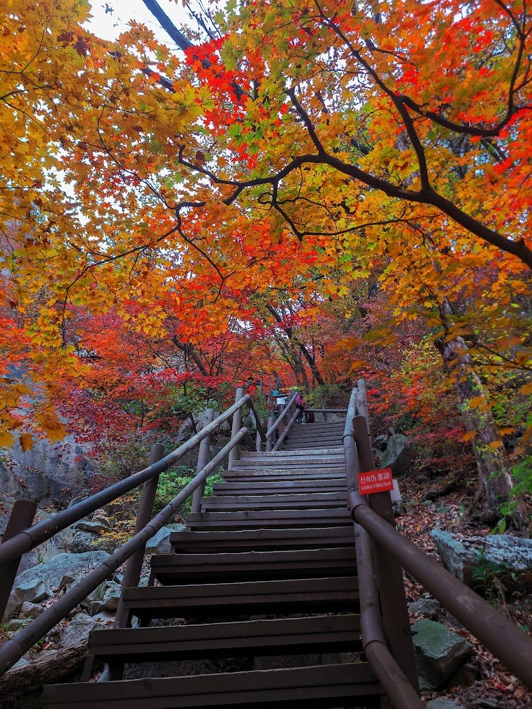 도봉산 만월암의 단풍 계단 2-3.jpg