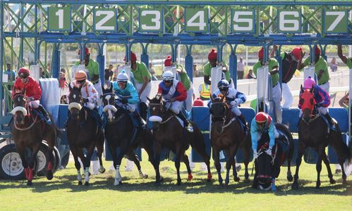 horse-racing-2357027_1280[1].jpg
