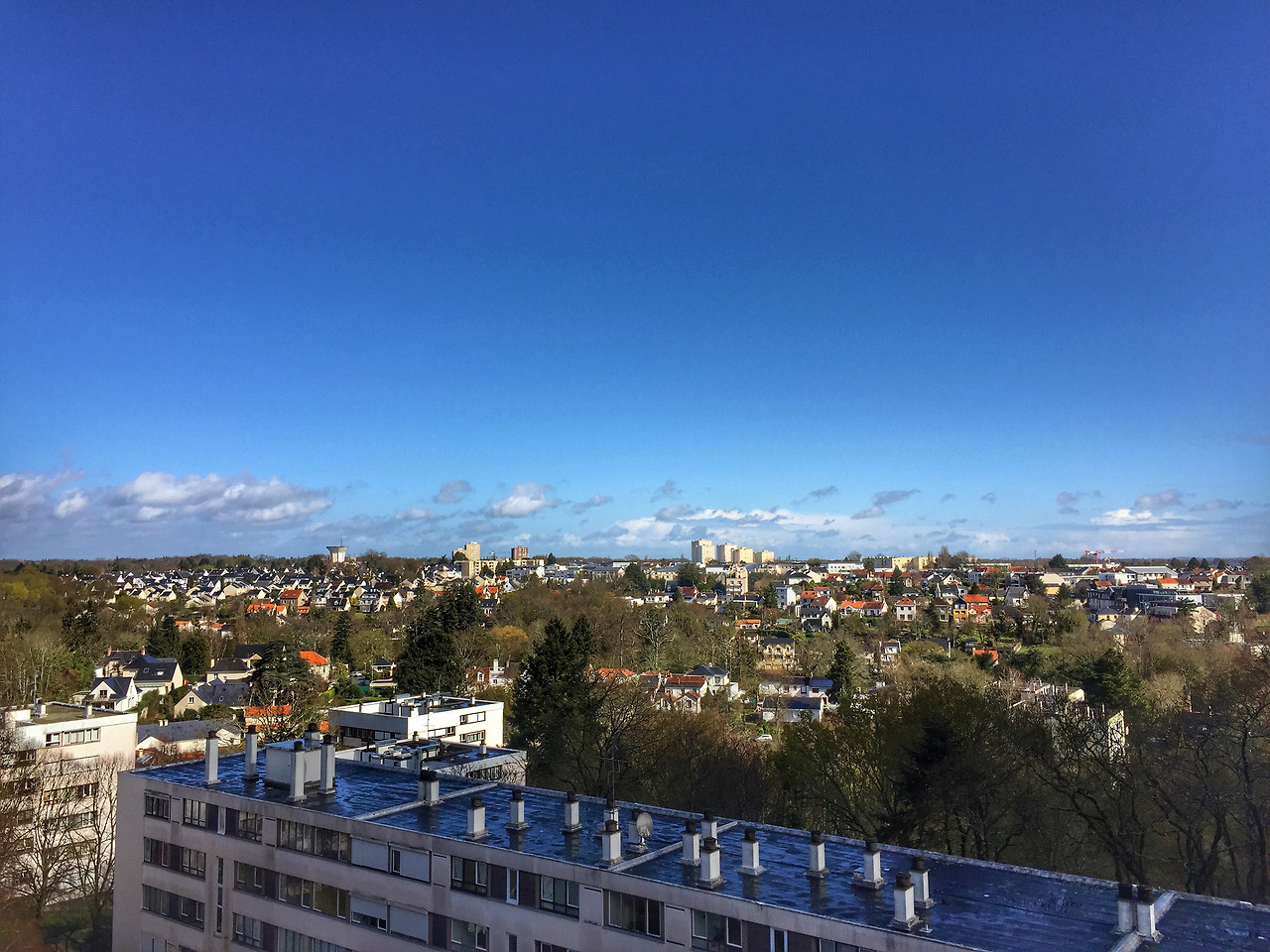 FullSizeRender 9.jpg