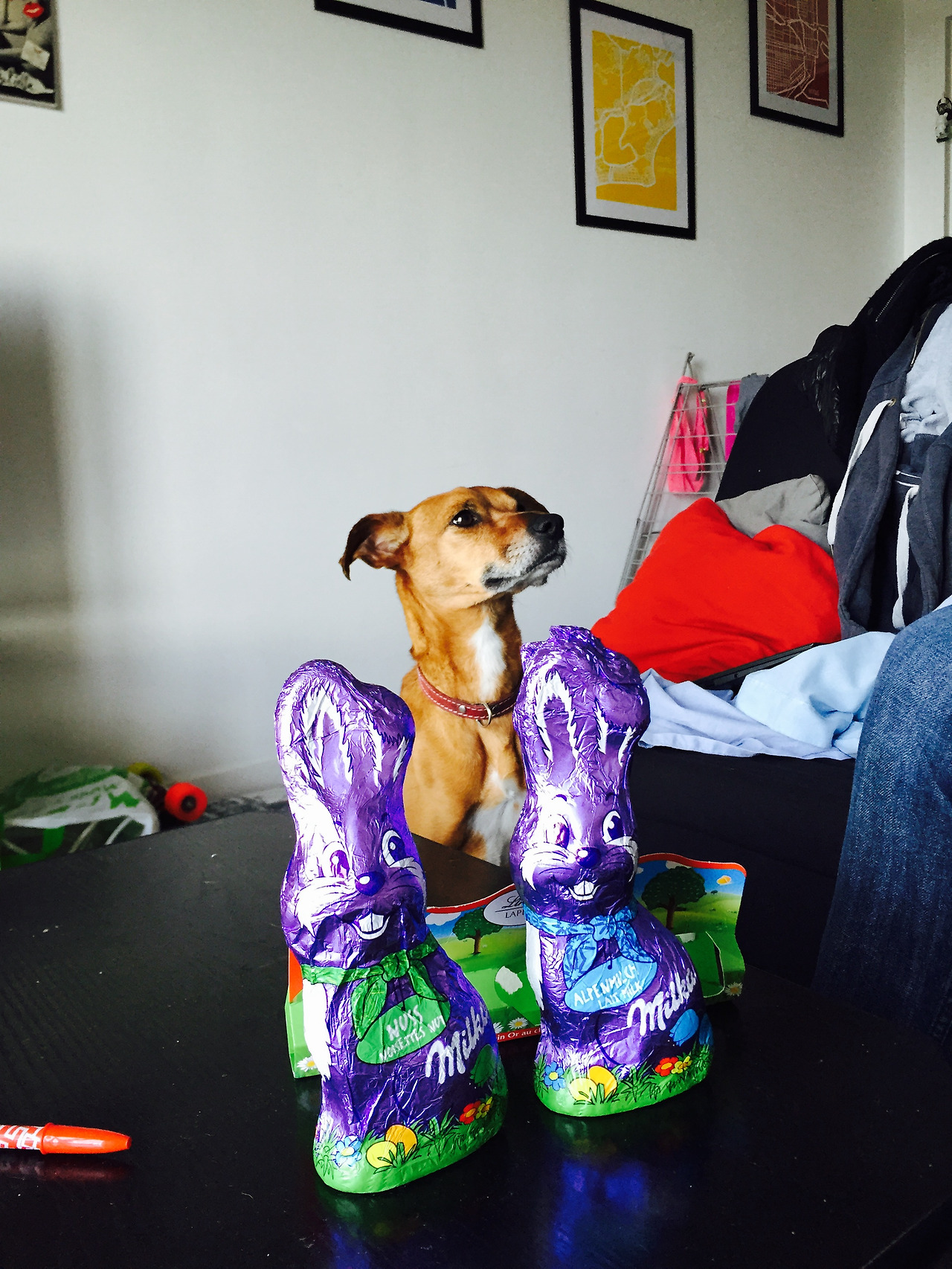 FullSizeRender 8.jpg