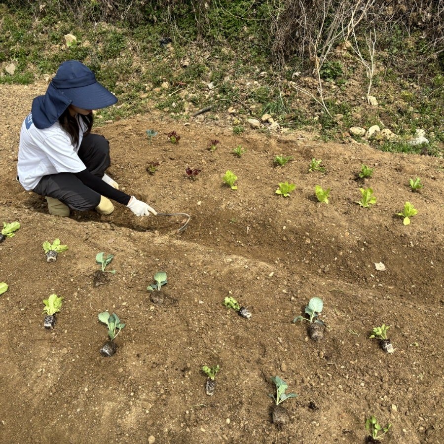 슬롯 머신 프로그램