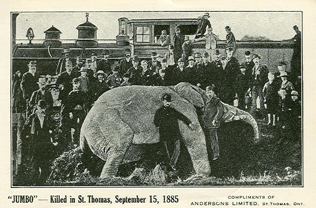 Jumbo's_death,_1885.jpg