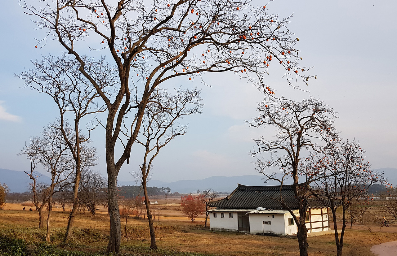 사본2 -20201114_161447.jpg