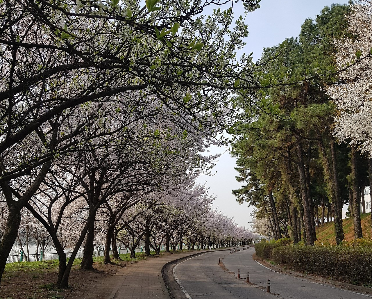 다운로드 (1)22.jpg