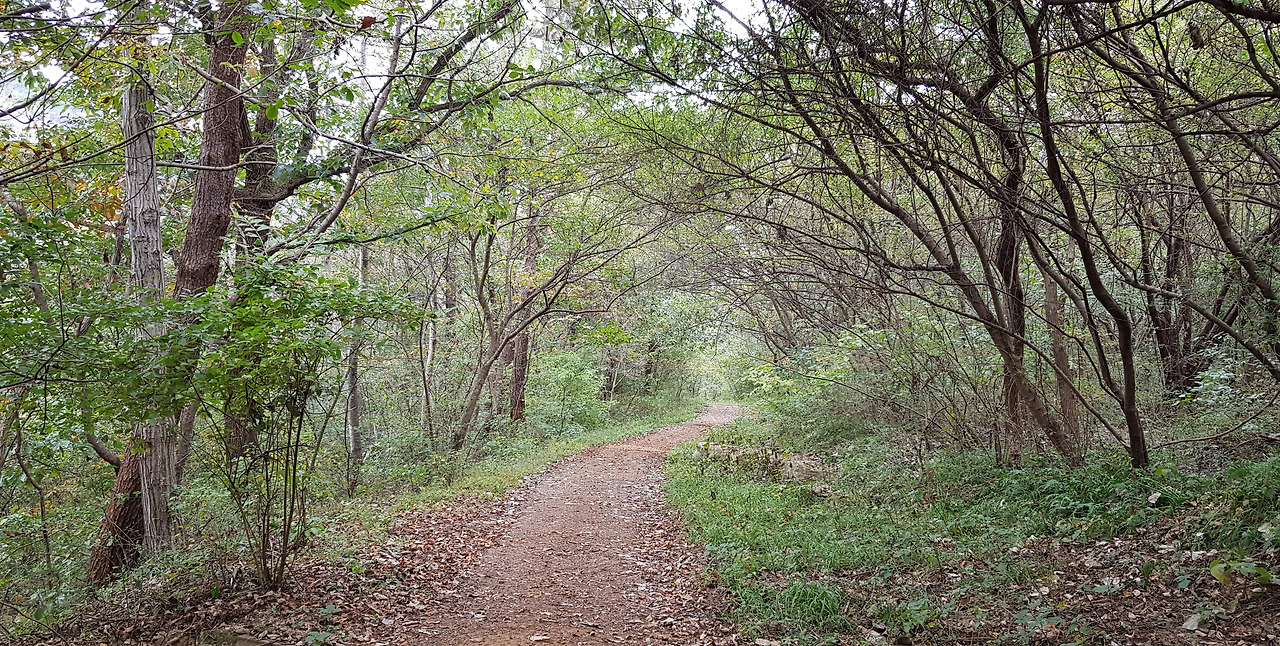 사본 -20201016_141422.jpg