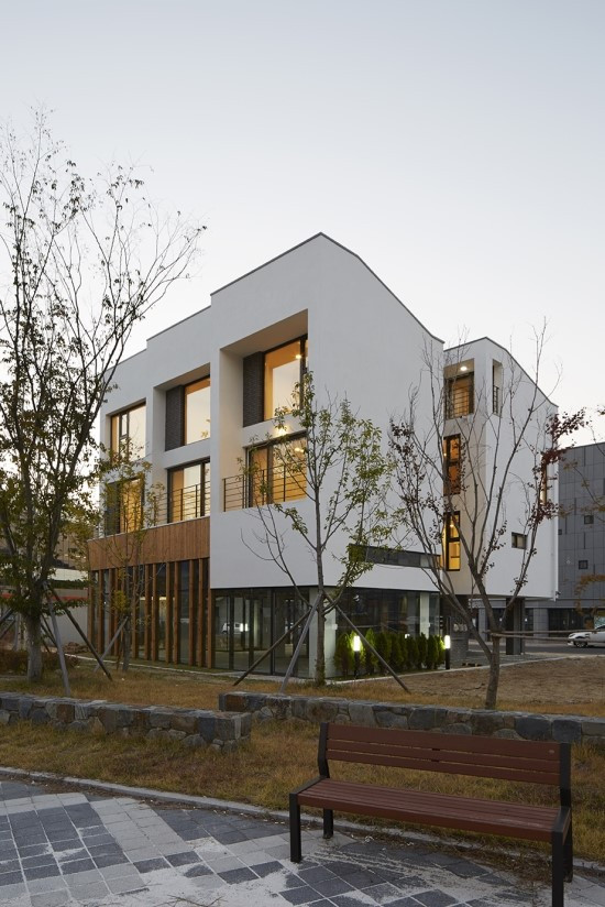 자경채, 사진 박건주 2.jpg