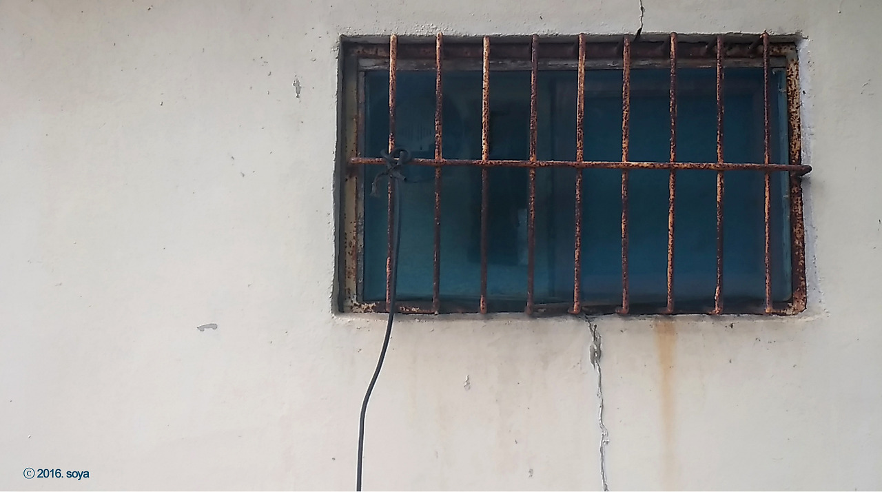 20160609_080913 copy.jpg