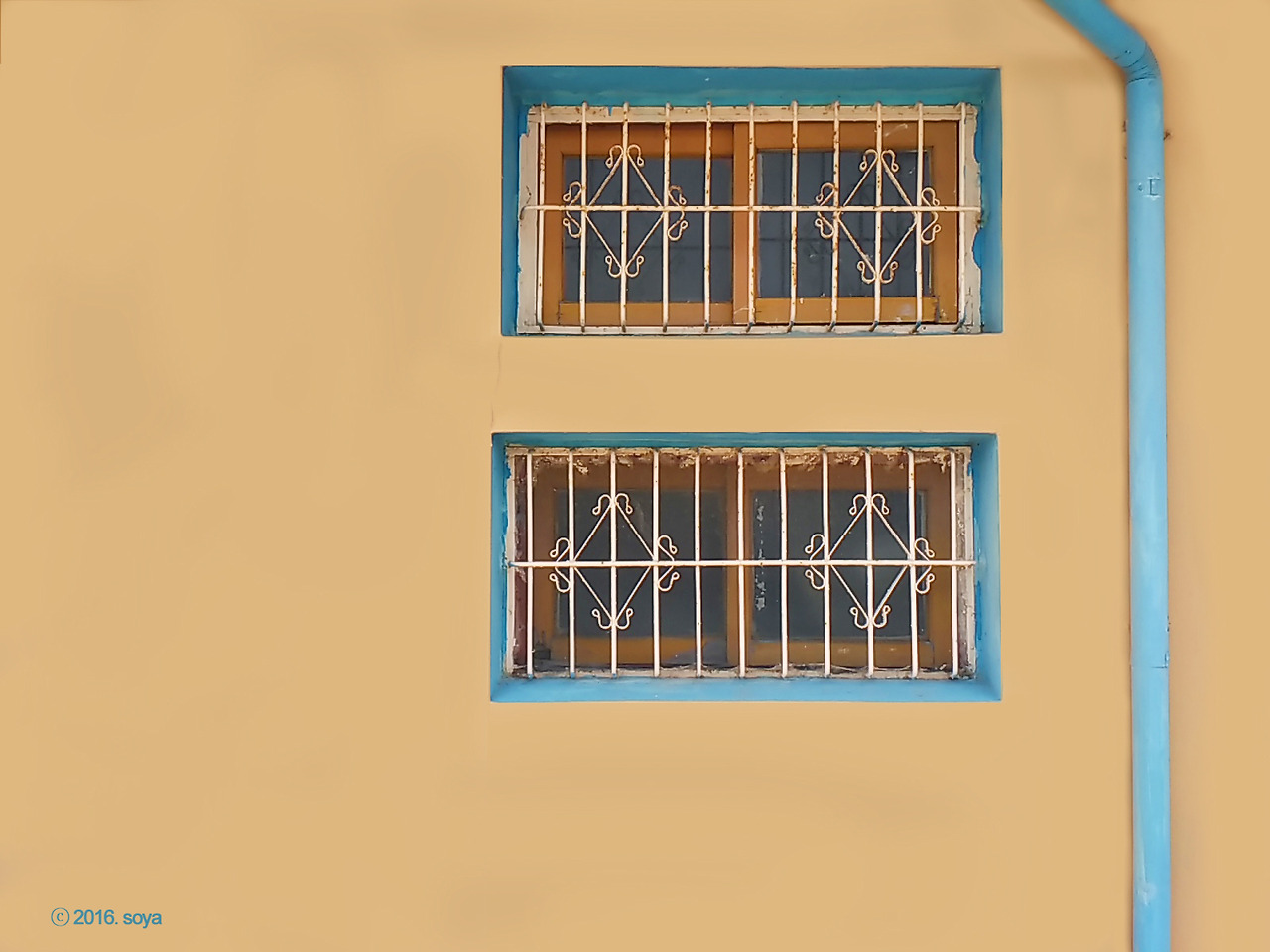 20160610_142658 copy-1.jpg