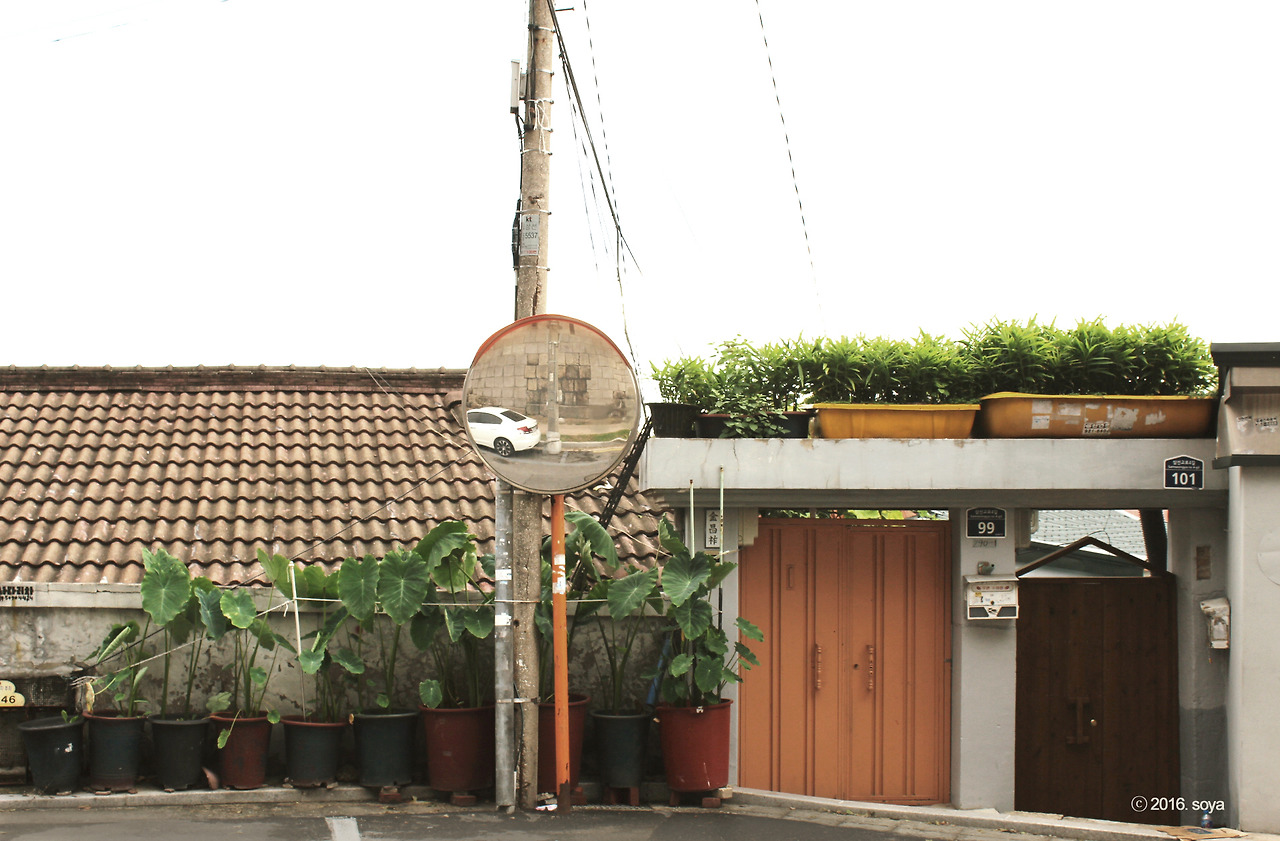 IMG_9963.jpg copy.jpg