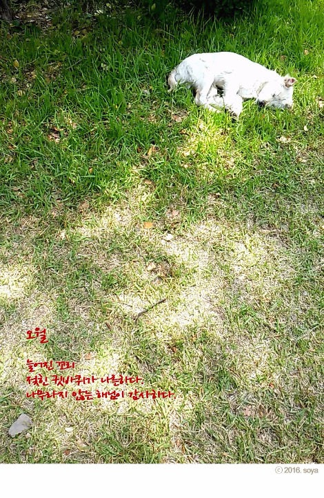 IMG_20160523_120843 copy.jpg