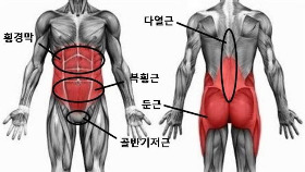 코어근육.jpg
