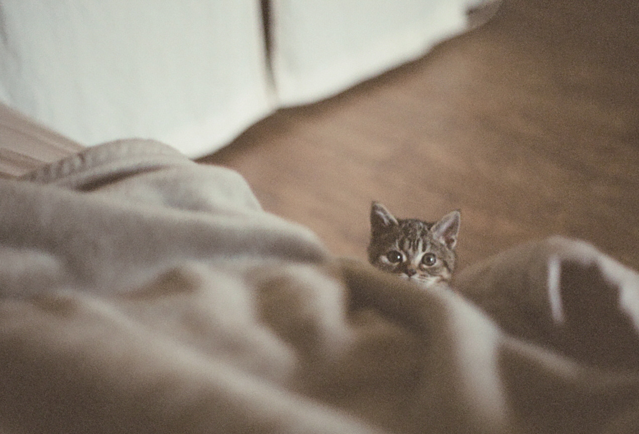 [크기변환]엽서-여백이있는 방-2.jpg