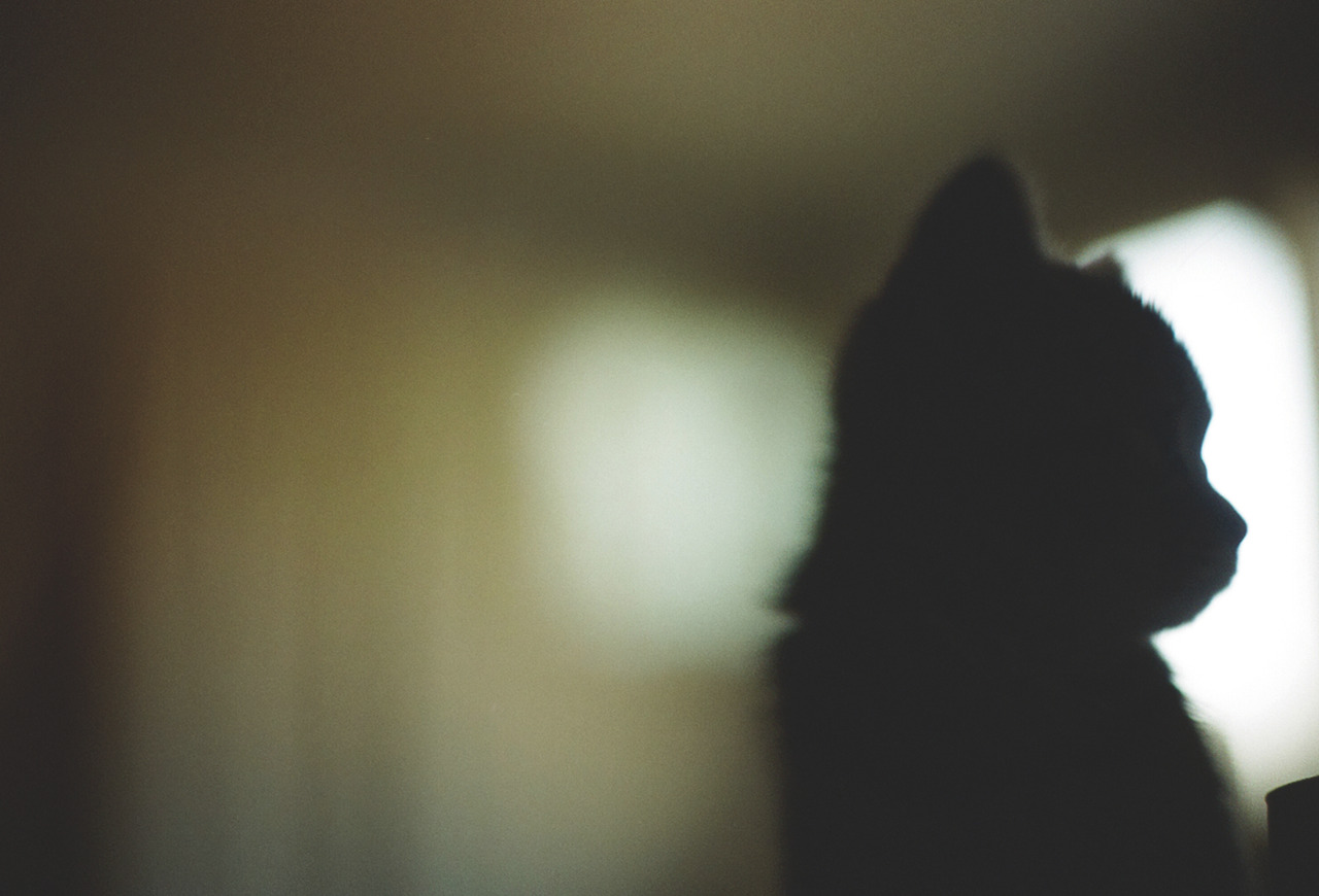 엽서-여백이있는 방-4.jpg