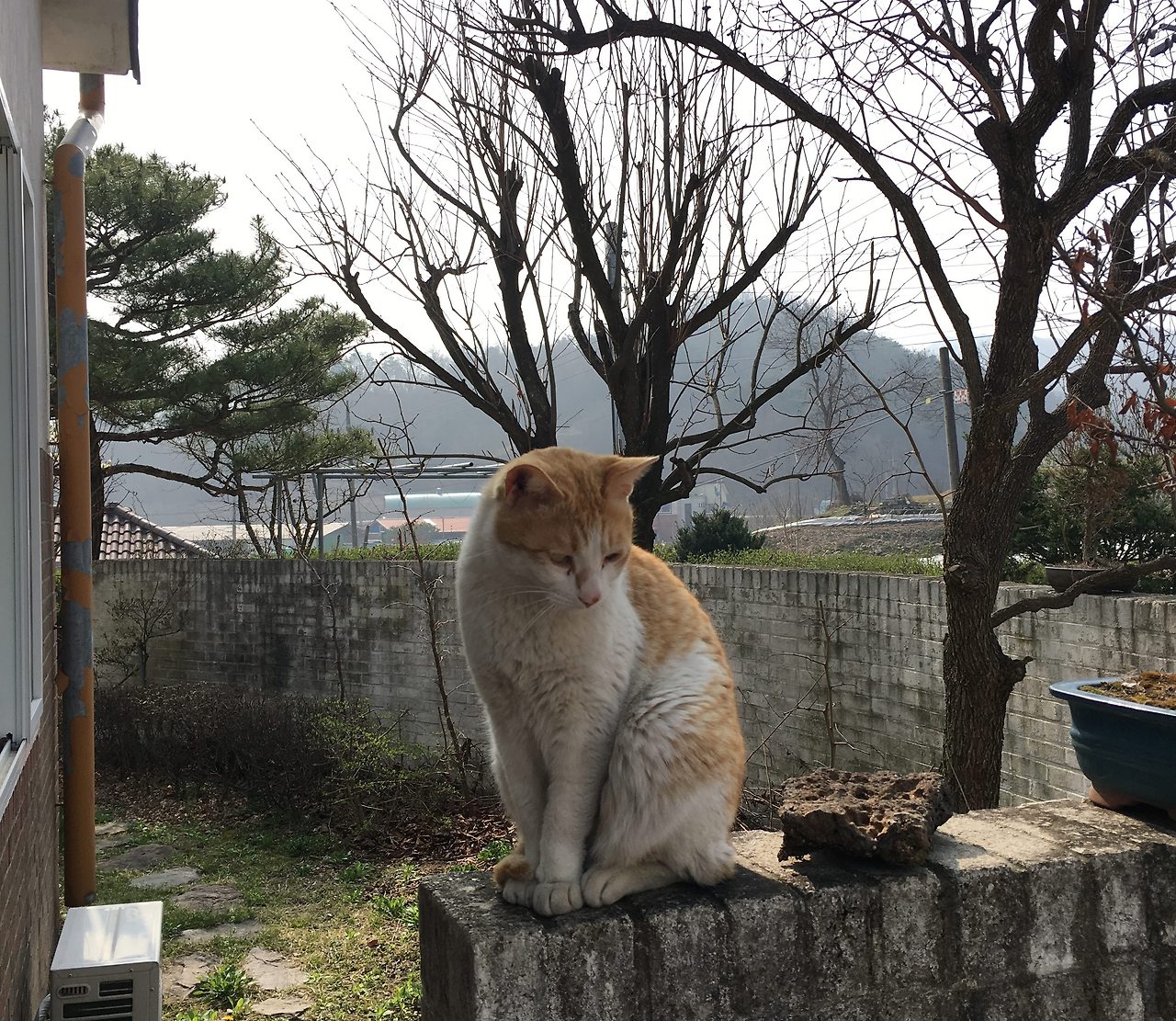 사본 -P20170408_095046774_B30A96DD-0C8B-4918-9EE8-CD192CA14046.jpg