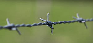 사본 -barbed-wire-2797302_1280.jpg