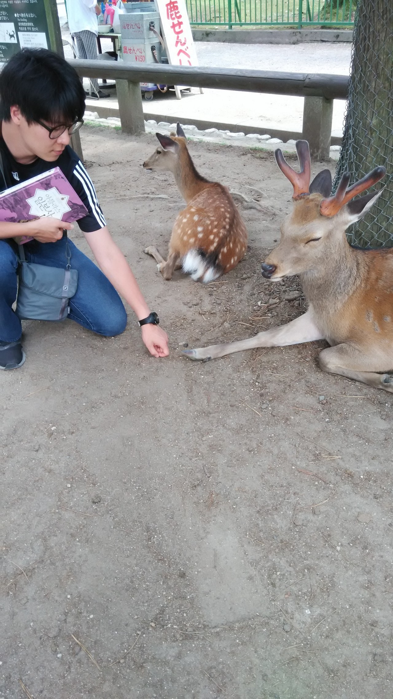 2015-05-24 12.09.27.jpg