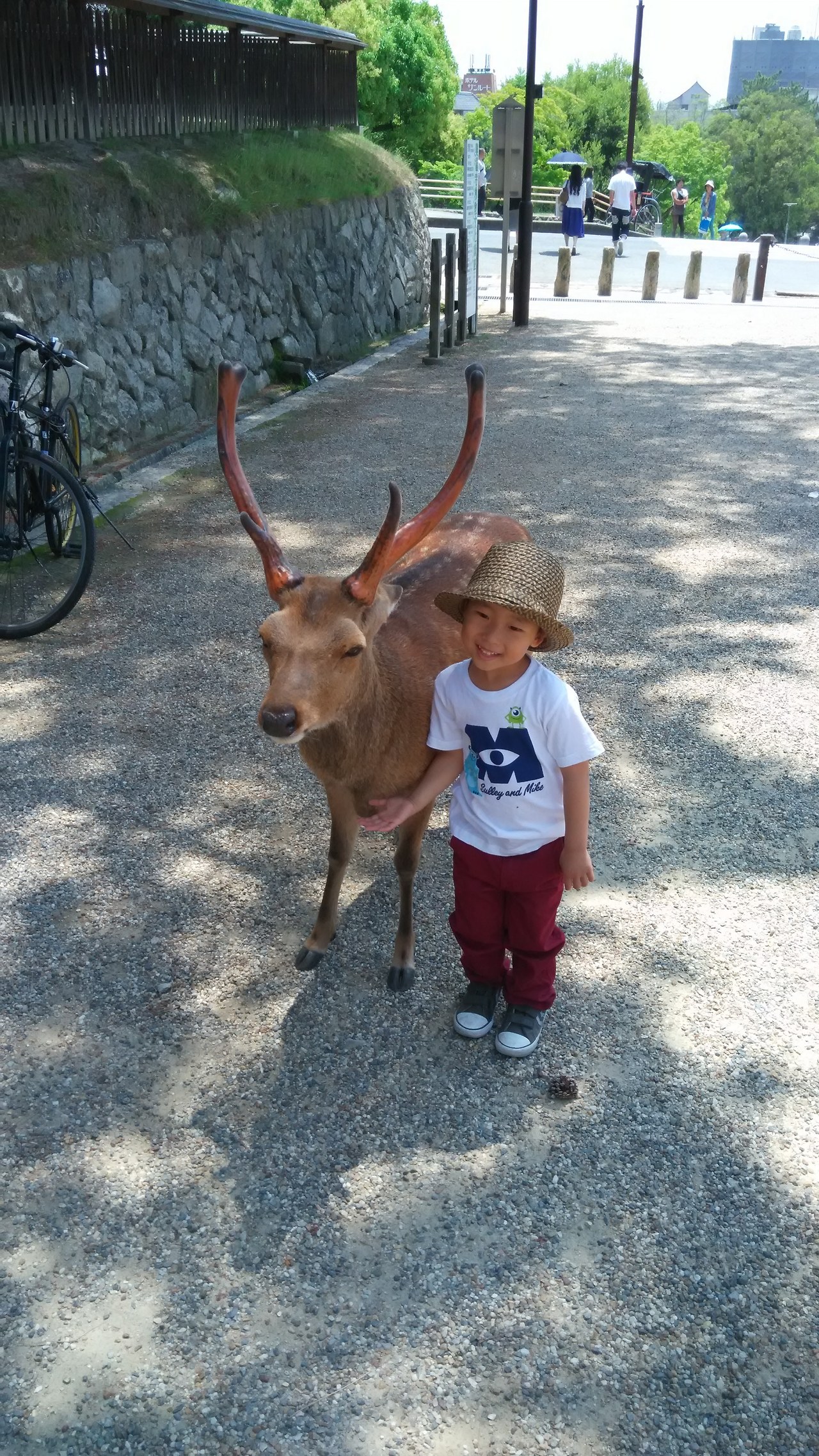 2015-05-24 11.59.27.jpg