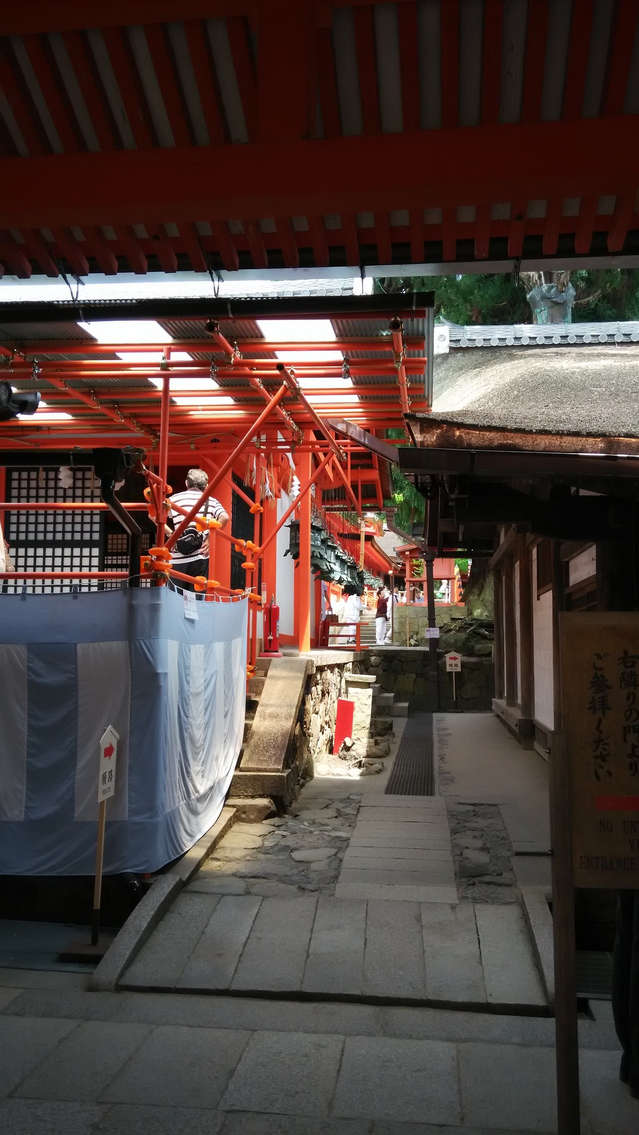 2015-05-24 12.54.38.jpg