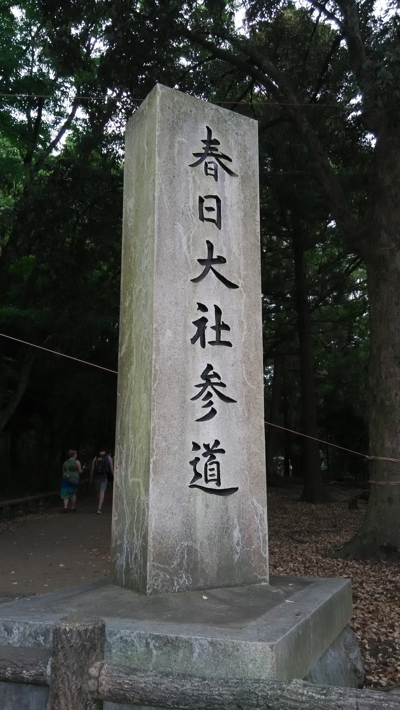 2015-05-24 12.31.28.jpg