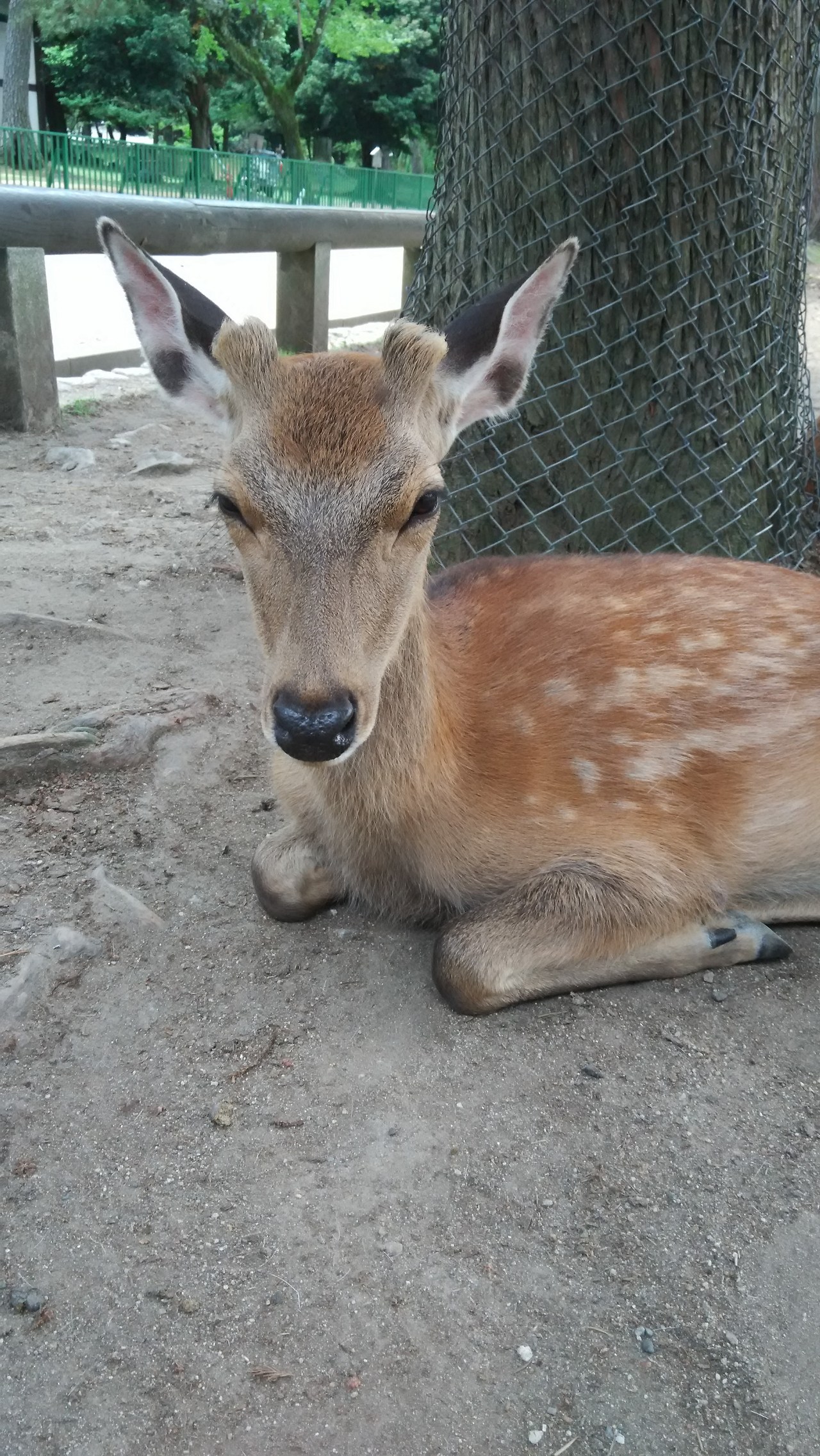 2015-05-24 12.10.15.jpg