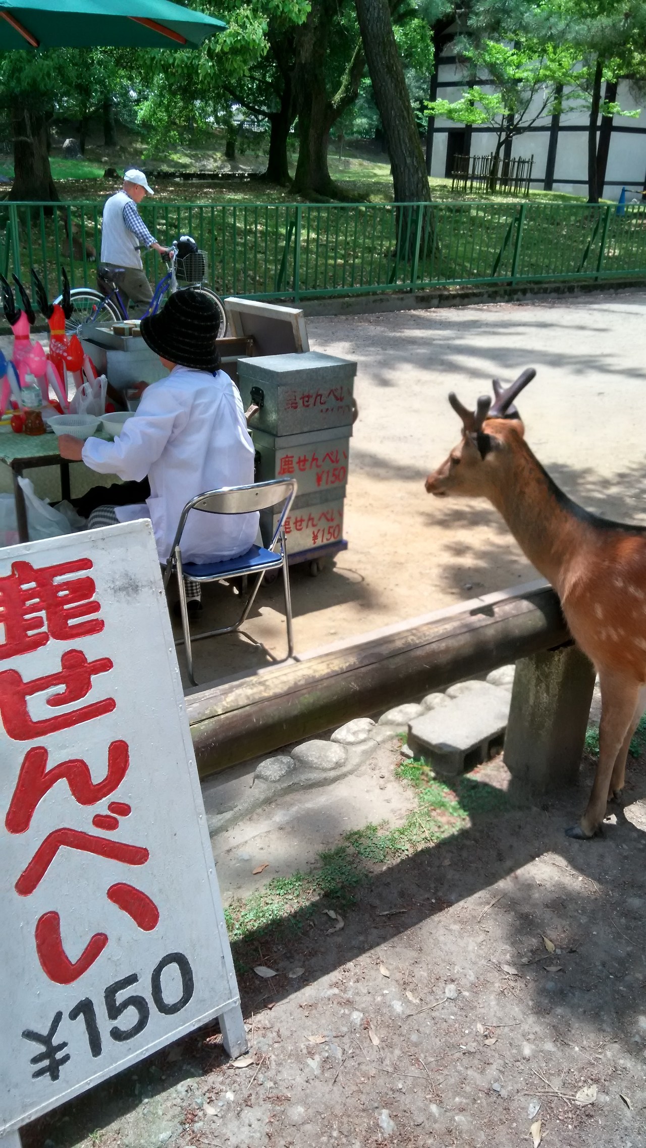 2015-05-24 12.12.39.jpg