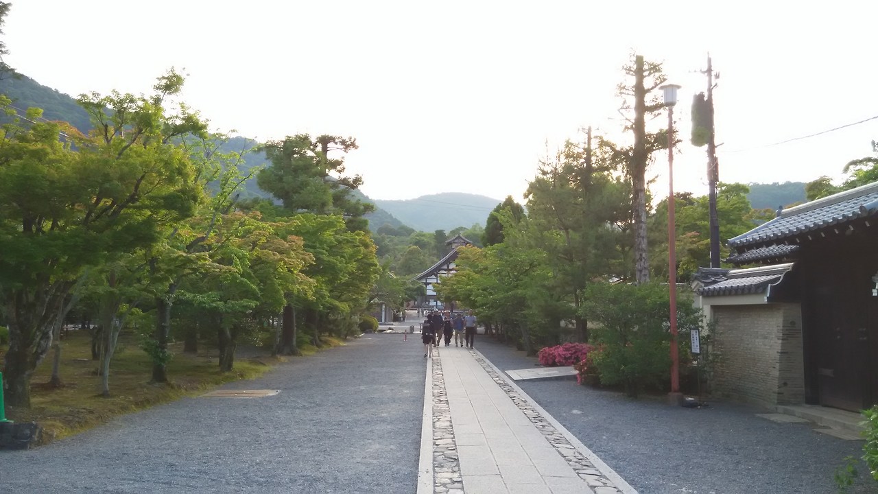 2015-05-24 17.29.06.jpg