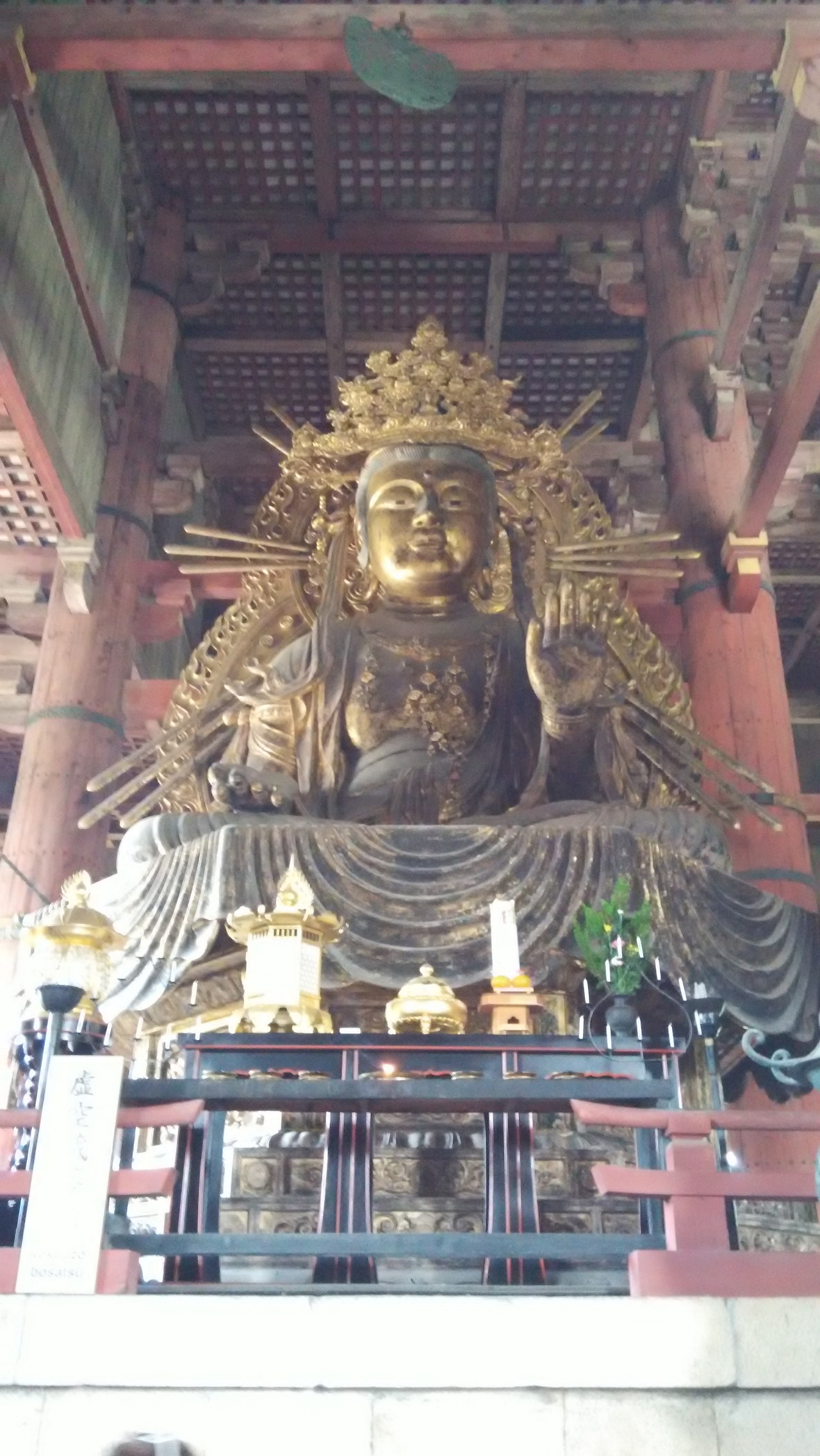 2015-05-24 13.43.37.jpg