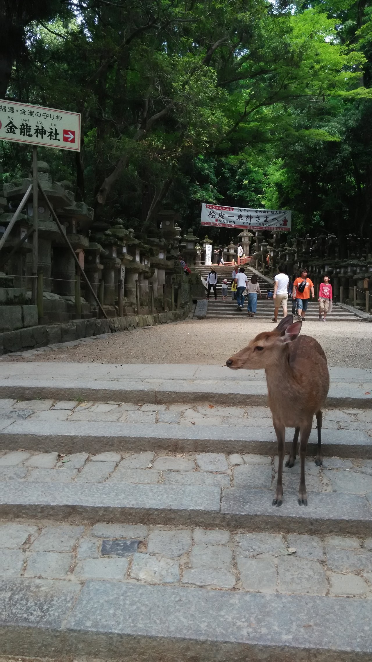 2015-05-24 12.48.09.jpg