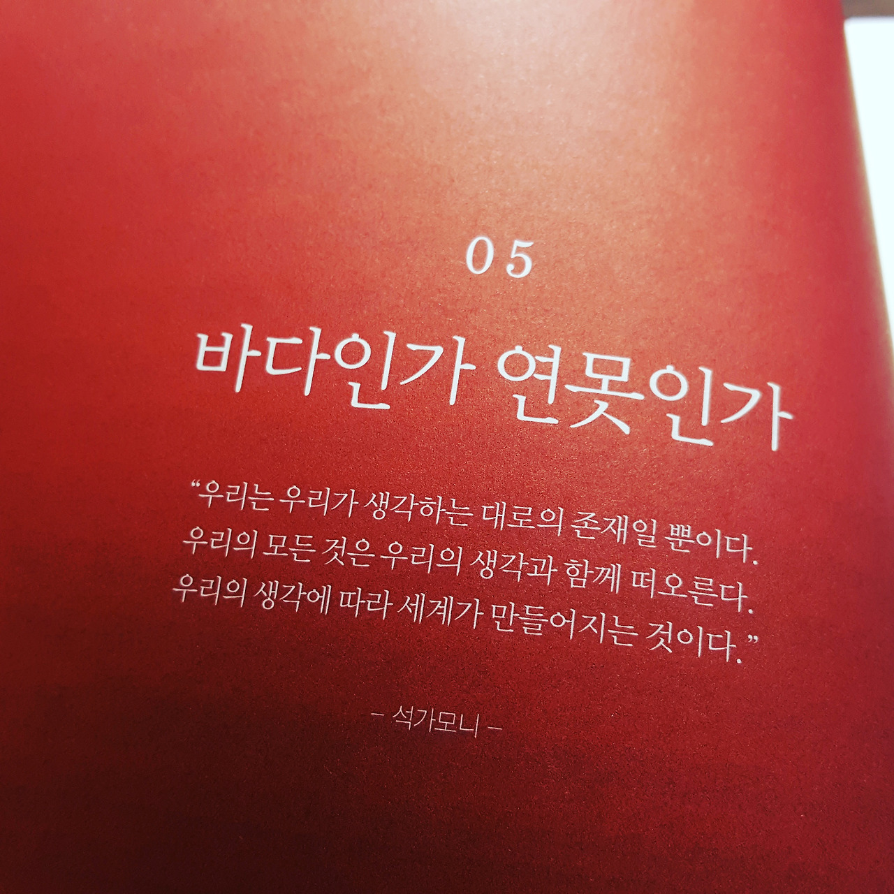 바다인가 연못인가.jpg