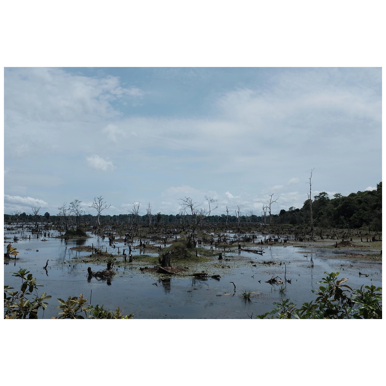 Photo Jun 05, 2 43 22 PM.jpg