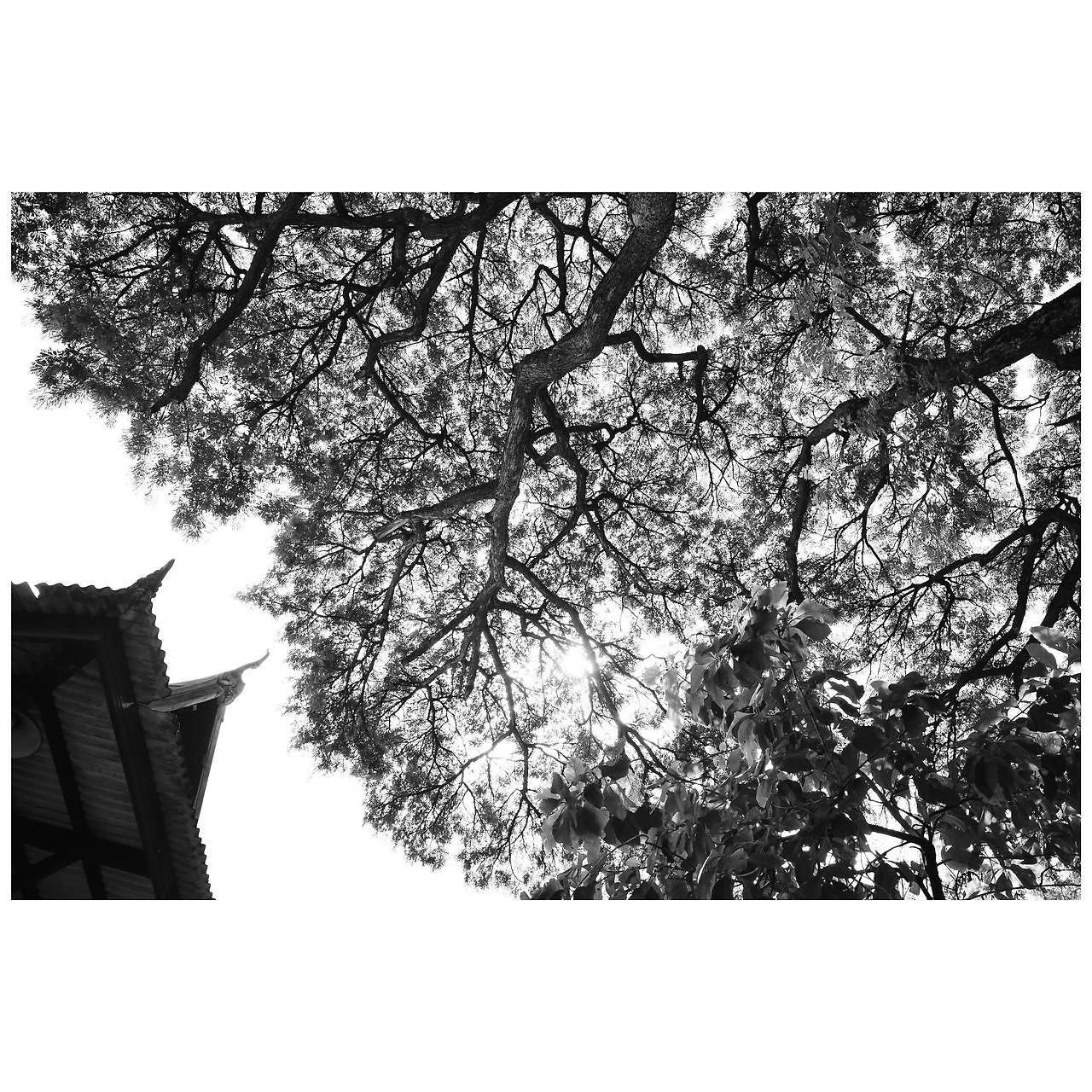 Photo Nov 10, 12 41 30 PM.jpg