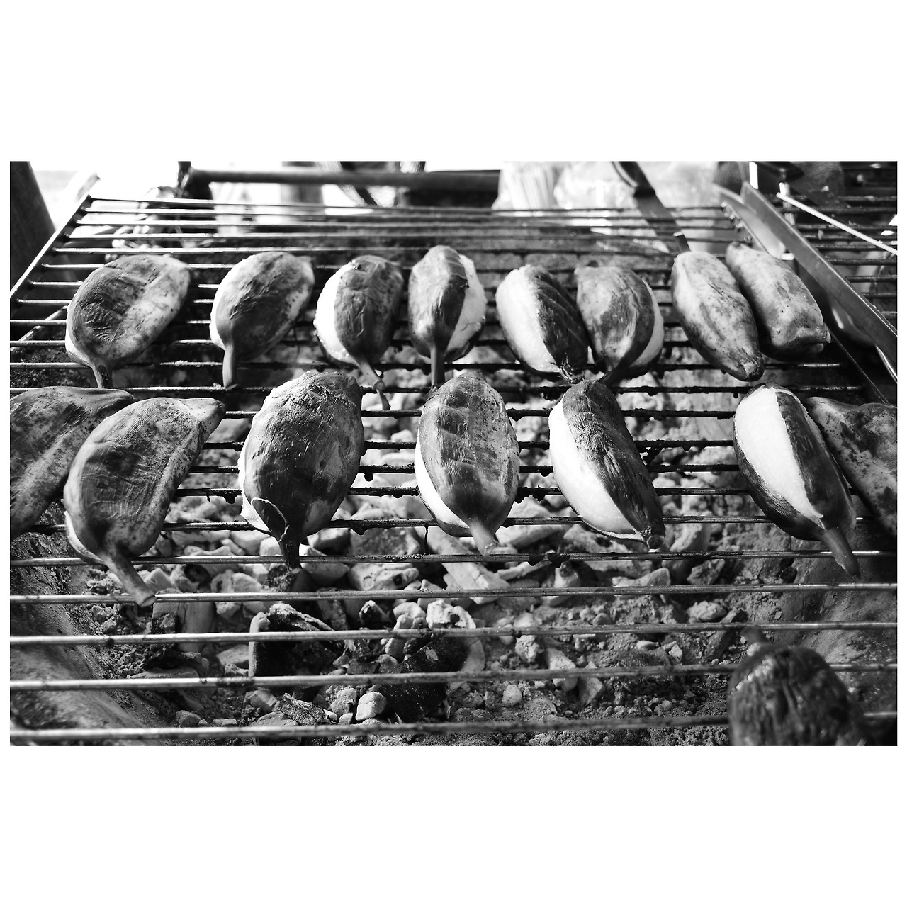 Photo Nov 11, 3 36 21 PM.jpg