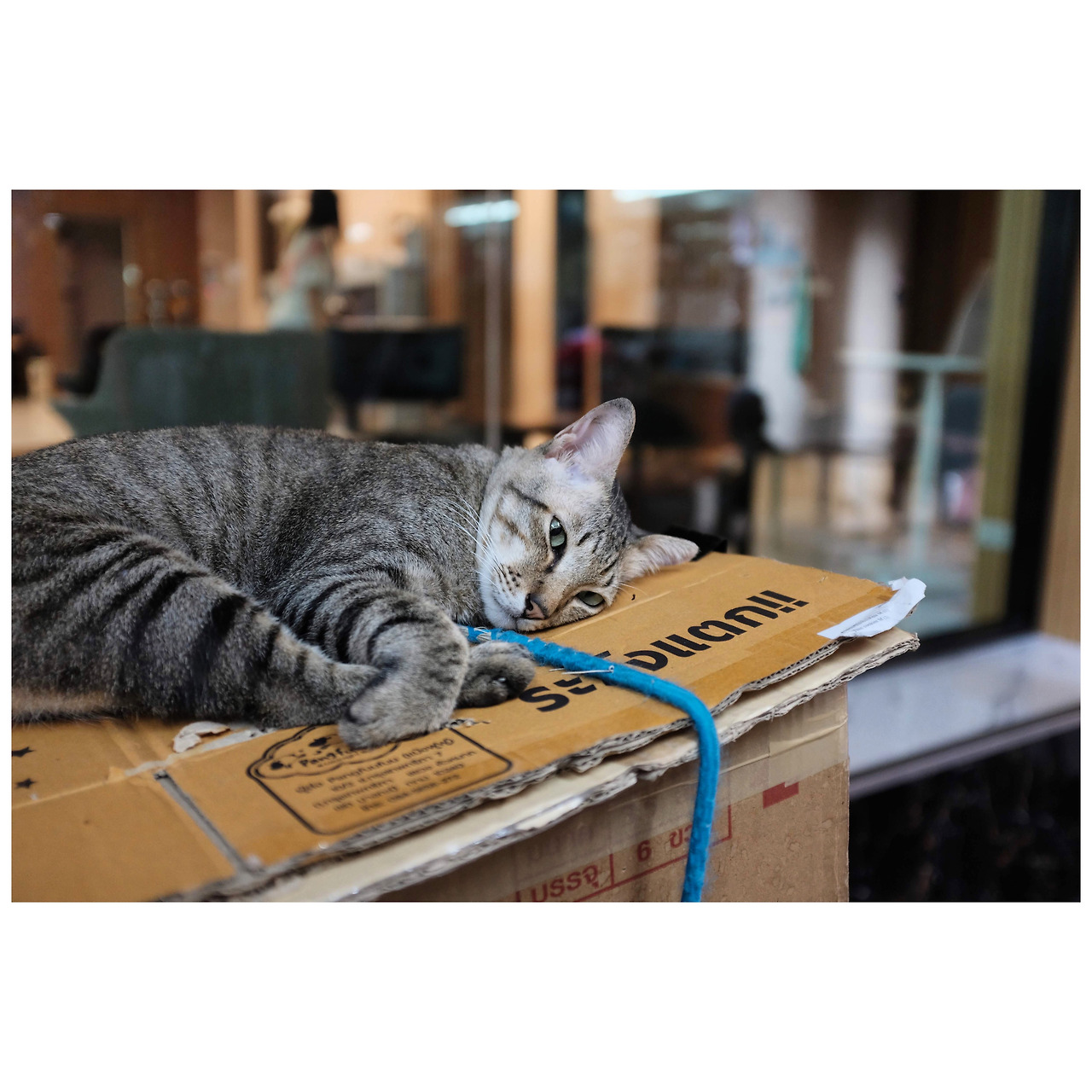 Photo May 24, 6 41 02 PM.jpg