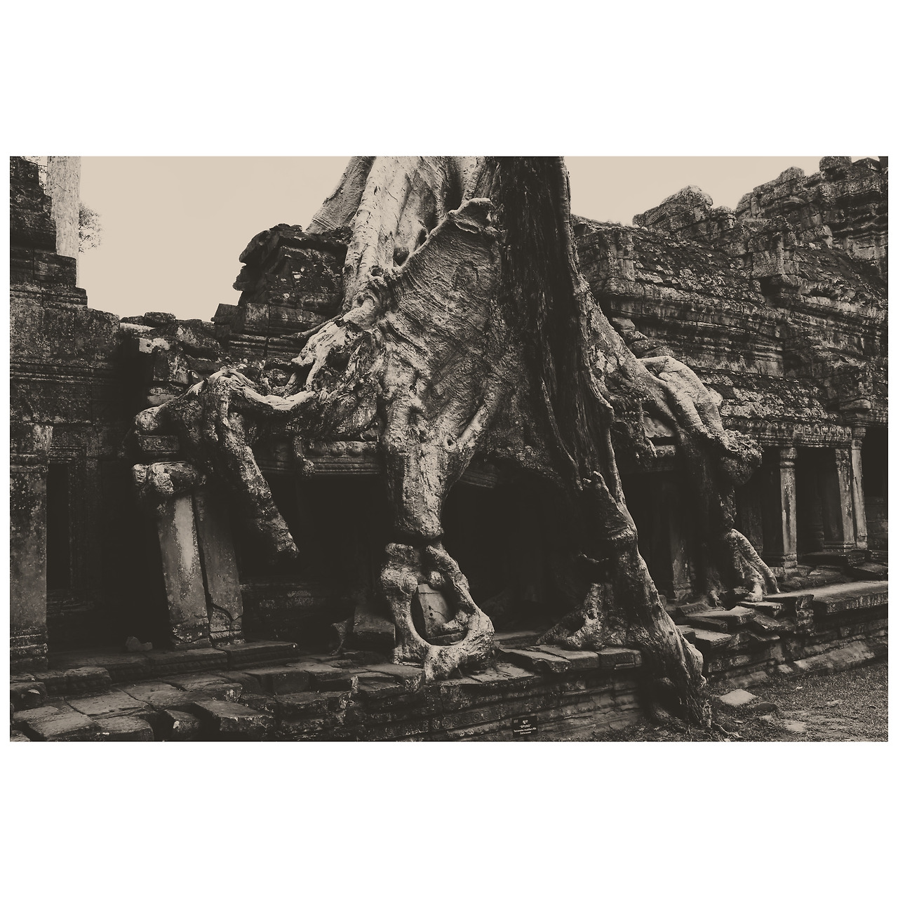 Photo Jun 05, 4 57 28 PM.jpg