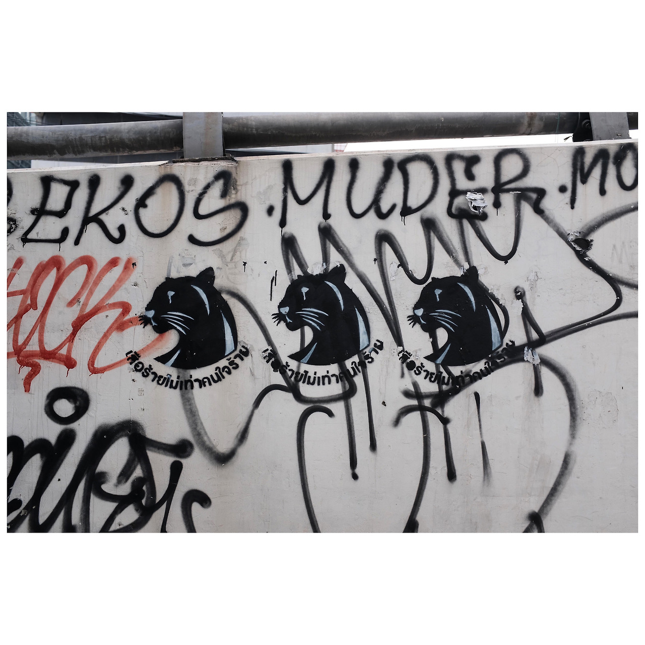 Photo May 27, 8 09 02 PM.jpg