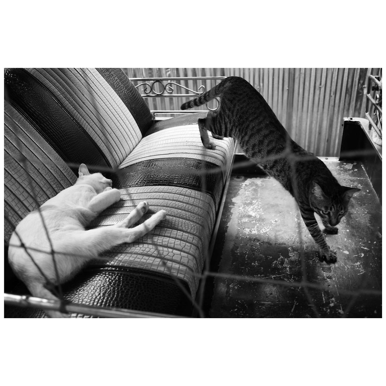 Photo Nov 20, 5 19 26 PM.jpg