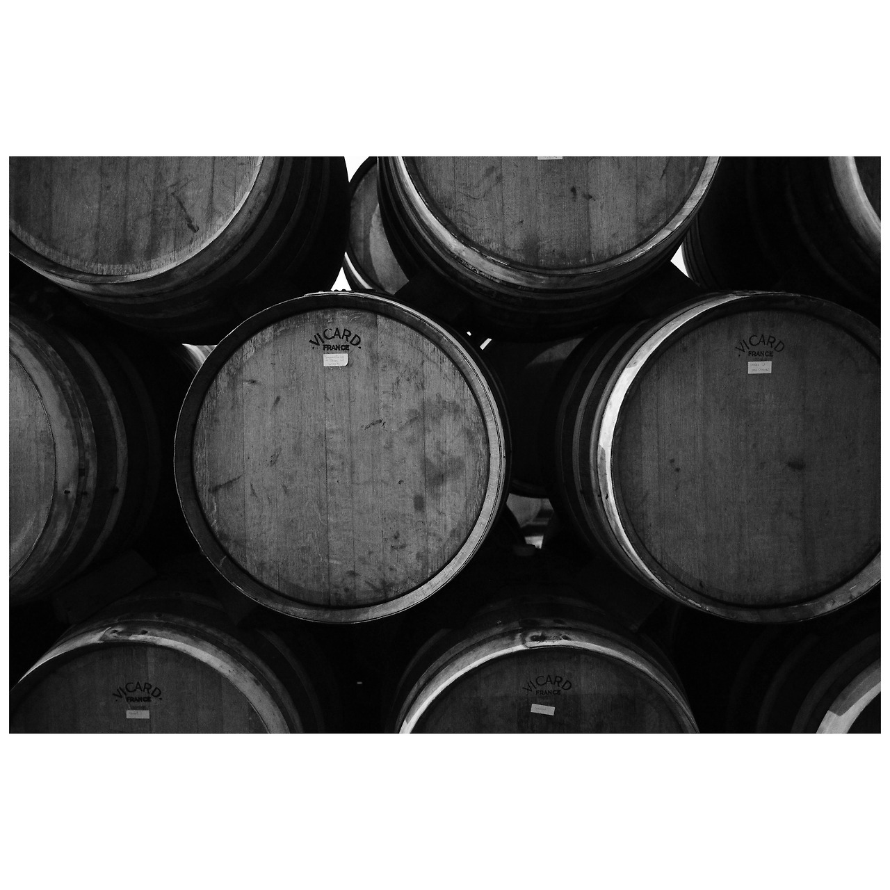 Photo Oct 19, 6 00 35 PM.jpg