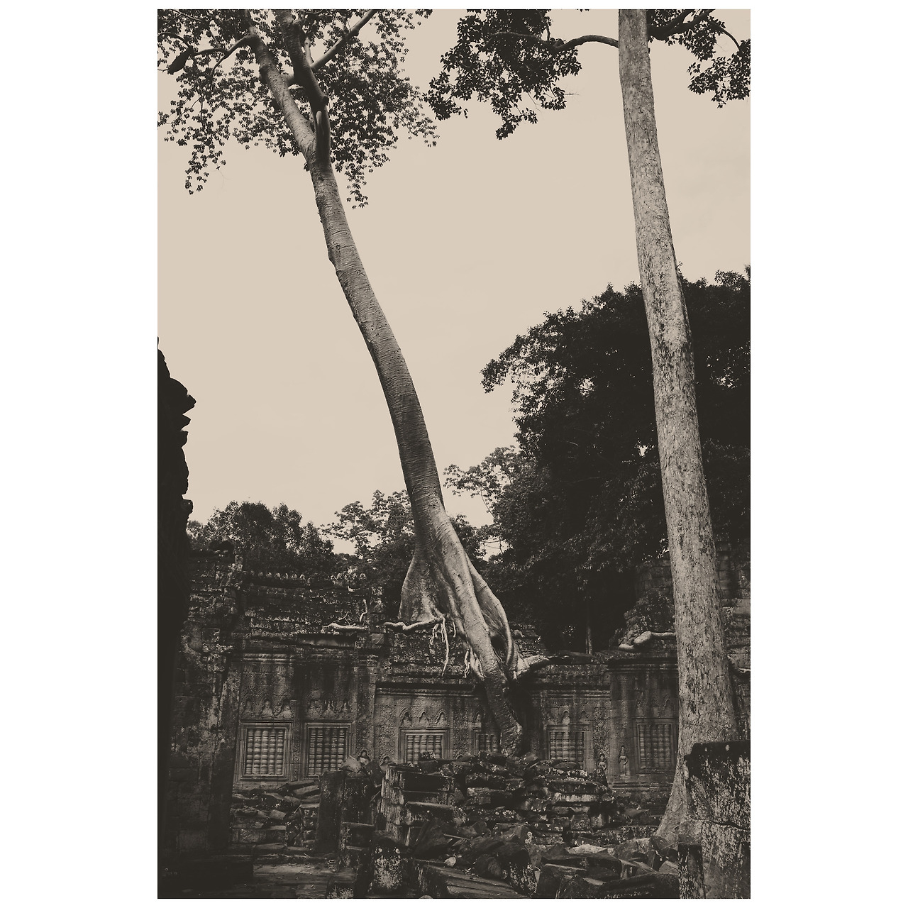 Photo Jun 05, 4 53 20 PM.jpg