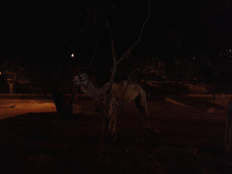 2014-01-08 19.58.05.jpg