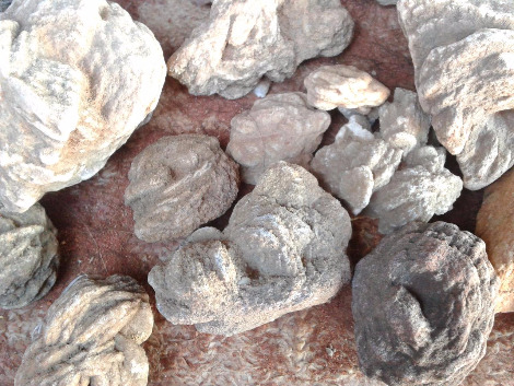 2014-01-08 16.12.55.jpg