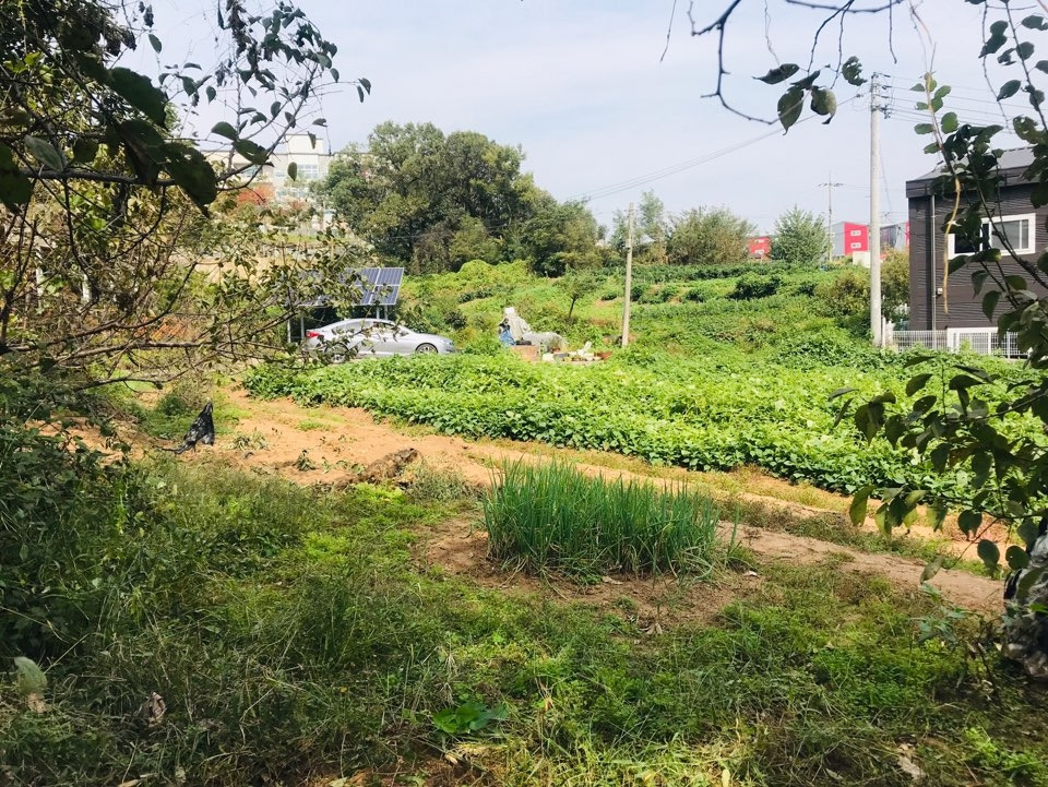 현장 답사_01.jpg