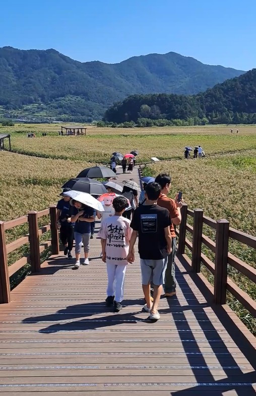 순천만습지 데크길.jpg