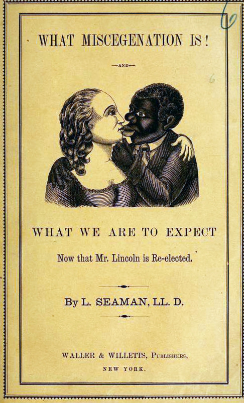 what-miscegenation-is.jpg
