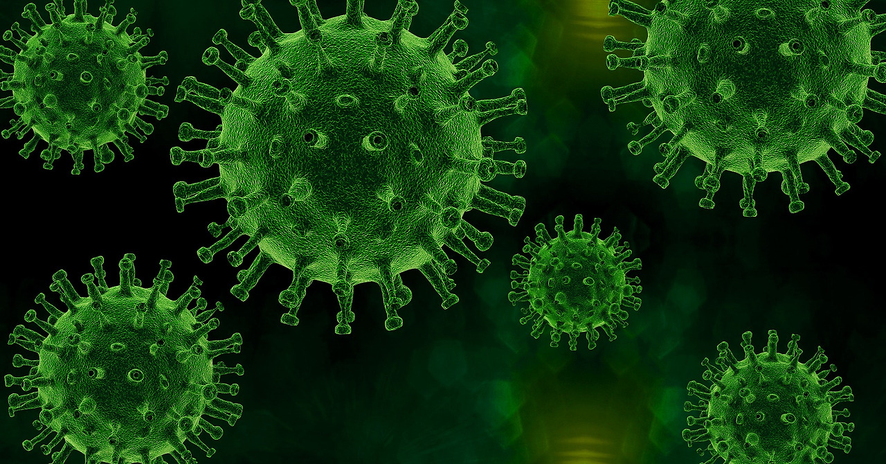 virus-g5f8bc2169_1920.jpg