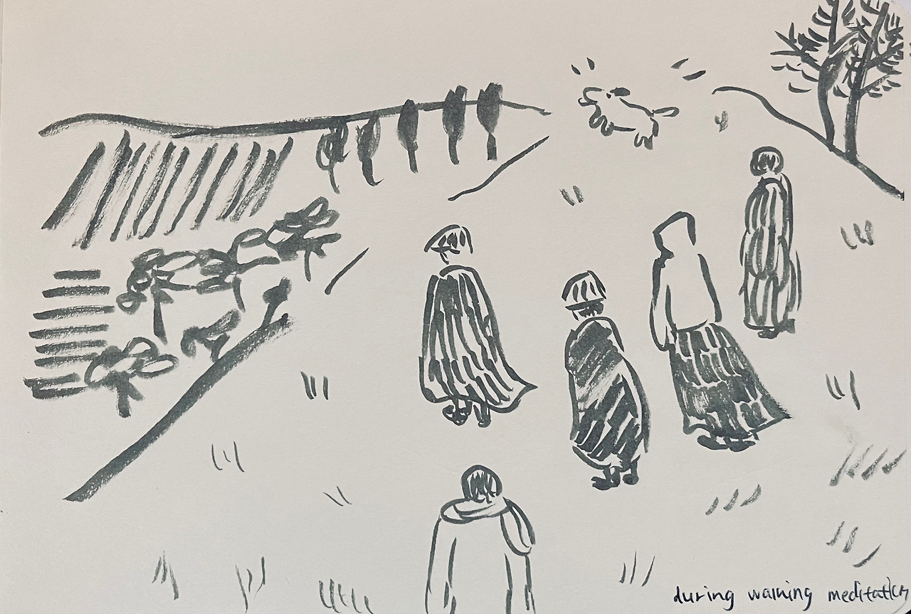 walking meditation.jpg