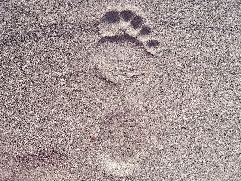 footprint-2624609_1280.jpg