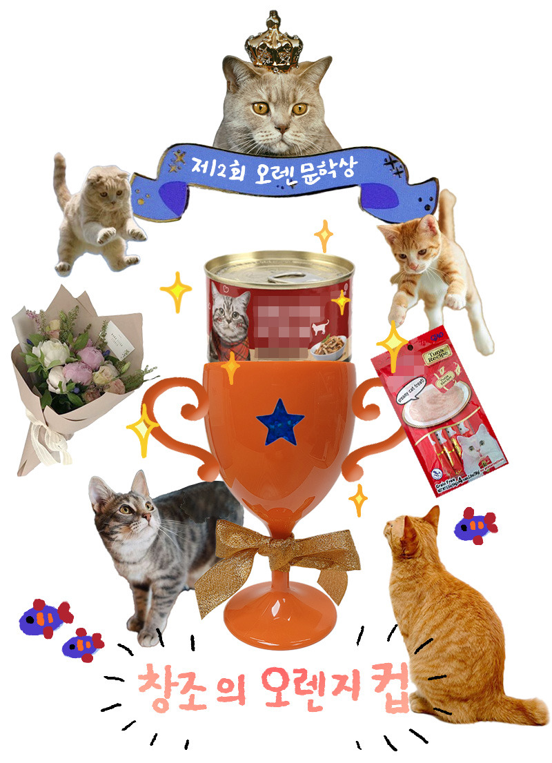 창조의 오렌지컵.jpg