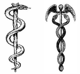 caduceus-2_pooyal.jpg
